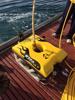 HHI acquires a remotely operated underwater vehicle (ROV) to research the Adriatic seabed