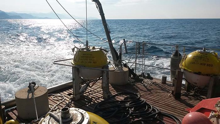Mediteranski dan obale